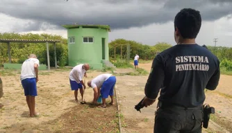 Casa de detenção em São Raimundo Nonato é destaque em segurança prisional.