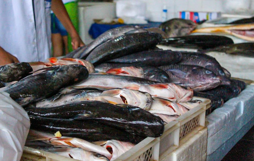 Mercado Do Peixe