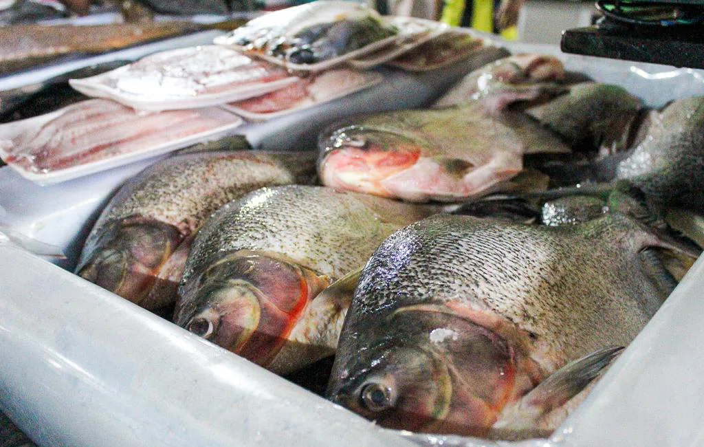 Mercado Do Peixe