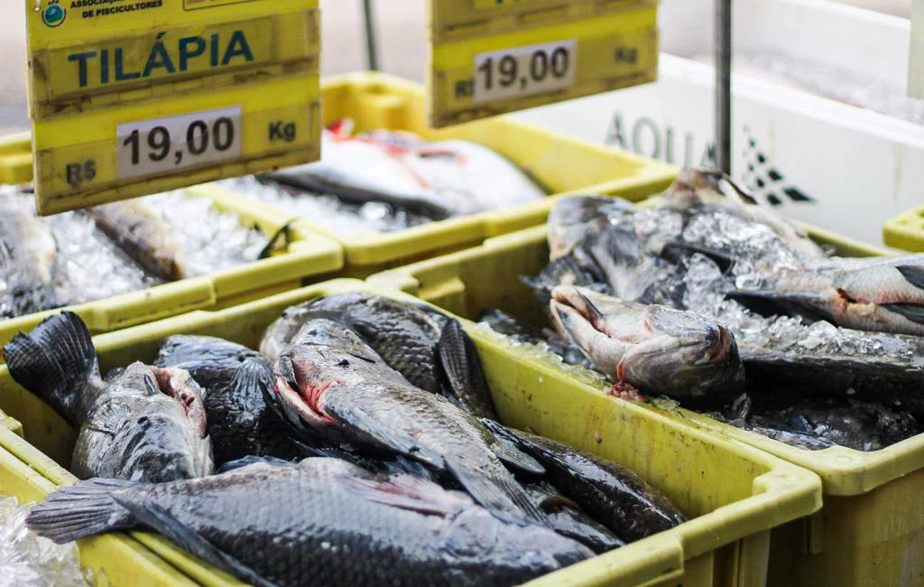 Movimentação no mercado do peixe