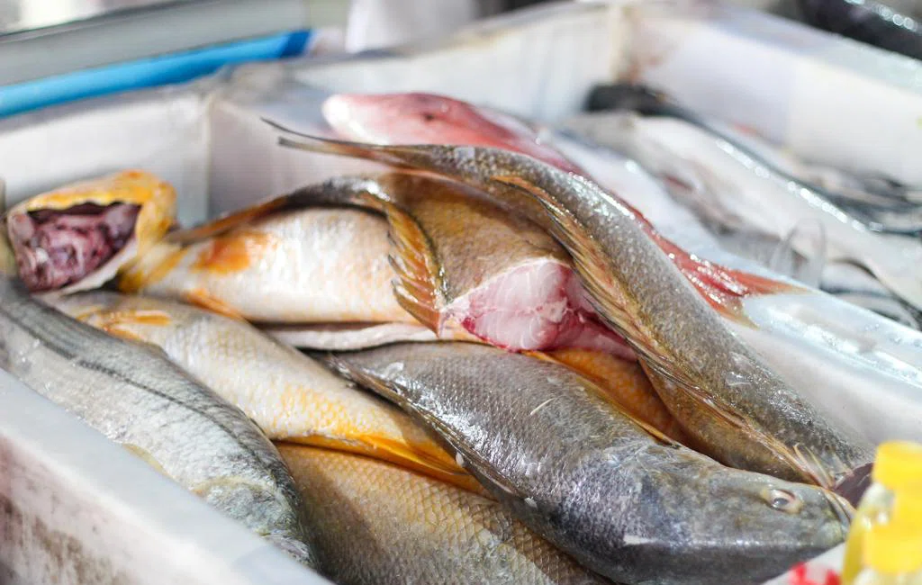 Movimentação no mercado do peixe