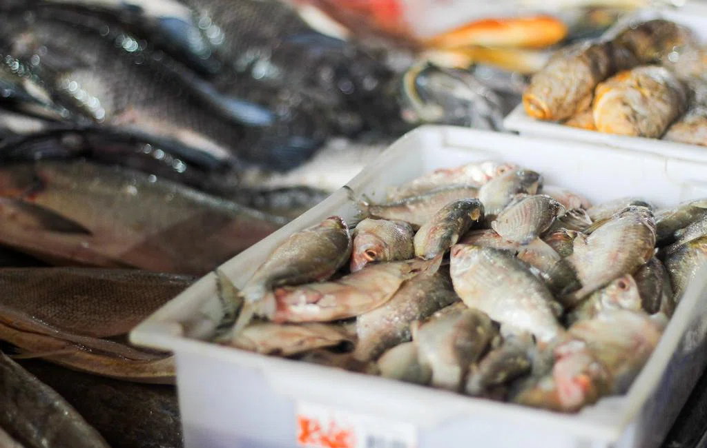 Movimentação no mercado do peixe