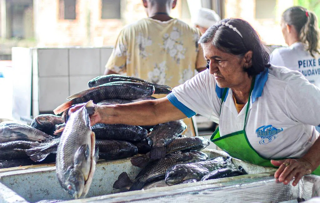 Movimentação no mercado do peixe