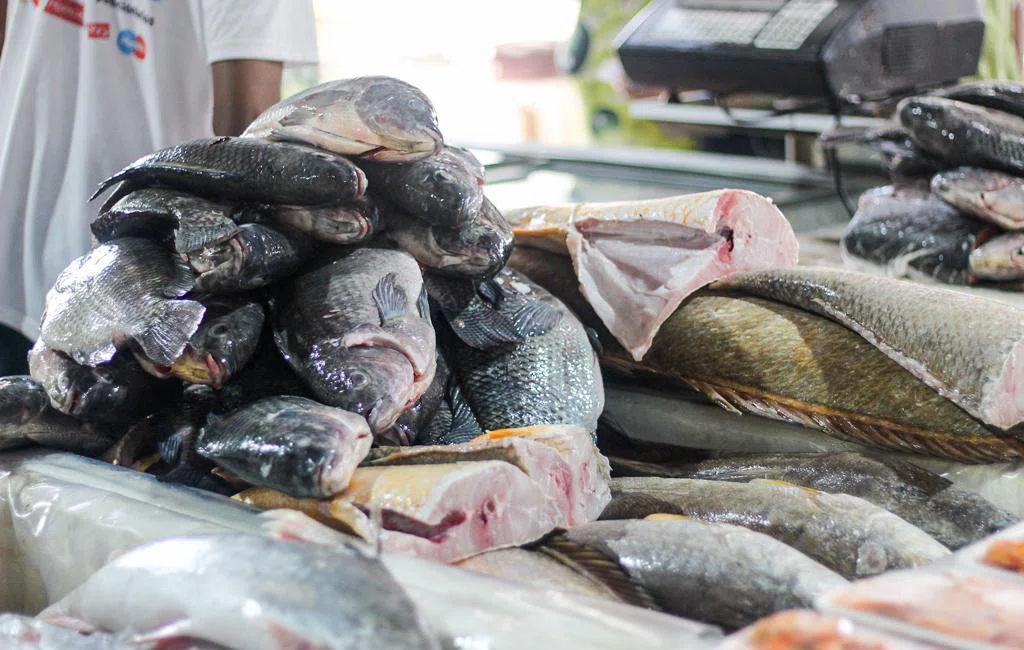 Movimentação no mercado do peixe