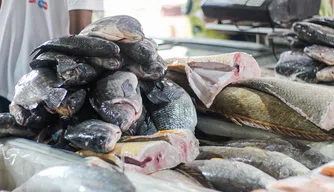 Movimentação no mercado do peixe