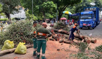 Árvore caída na praça Rio Branco em Teresina.