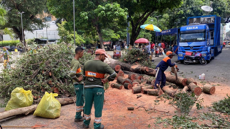 Árvore caída na praça Rio Branco em Teresina.