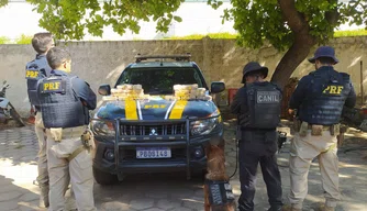 Apreensão de 17,623 kg de cocaína em Monte Alegre do Piauí