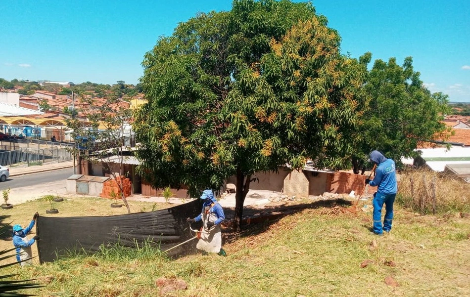 Equipes de limpeza da Prefeitura de Teresina realizam mutirão de limpeza.