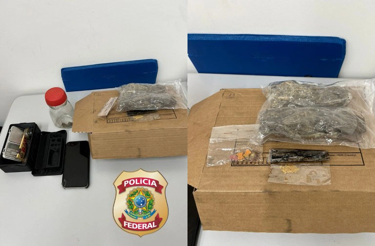 Polícia Federal apreende drogas enviadas pelos Correios em Picos.