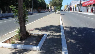 Canteiro da avenida José Francisco de Almeida Neto.