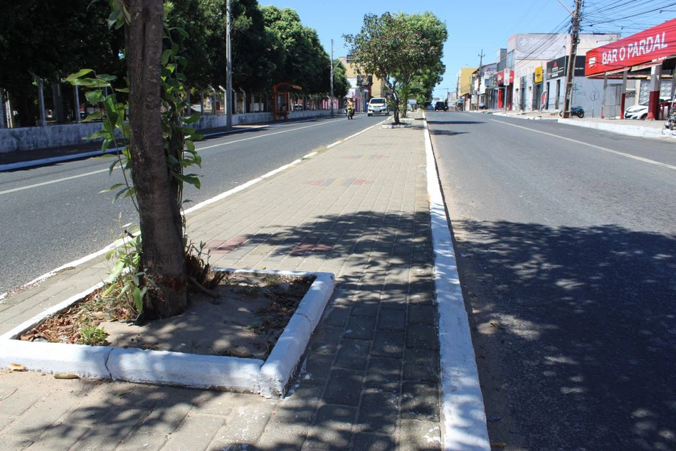 Canteiro da avenida José Francisco de Almeida Neto.