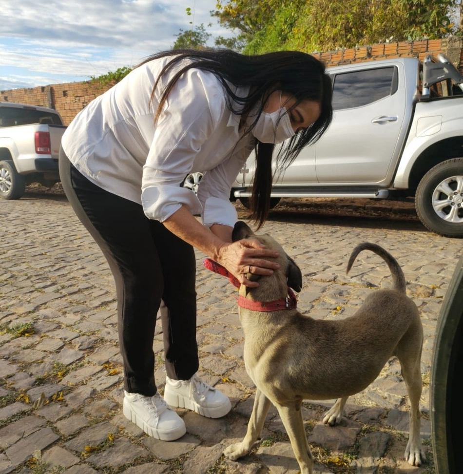 Deputada Teresa Britto resgata animal que sofreu maus-tratos