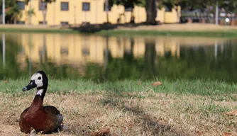 Parque da Cidadania