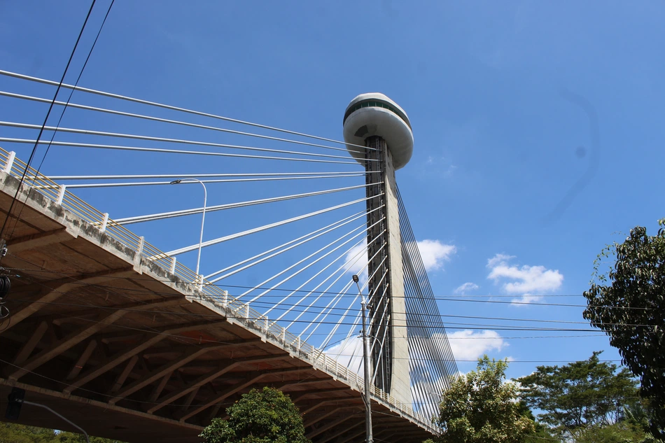 Ponte Estaiada