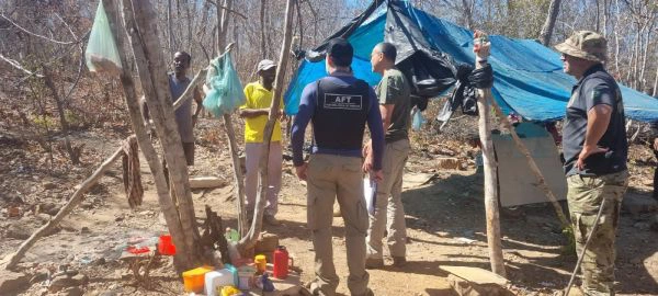 Trabalhadores são resgatados de colheita da palha de carnaúba e pedreiras.