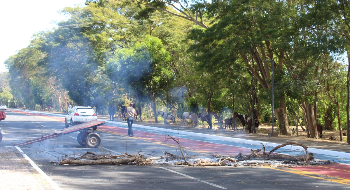 Manifestação carroceiros na Marechal Castelo Branco