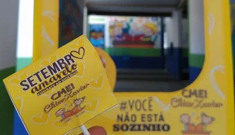 Ações da CMEI sobre Setembro Amarelo