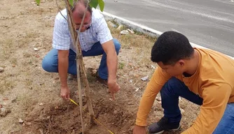 Semam promove projeto verde na Avenida Ulisses Marques.