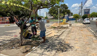 SAAD Leste cria espaço para food trucks e playground na Praça dos Skatistas.