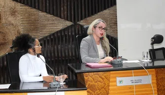 Fórum debate enfrentamento à violência doméstica no Piauí.