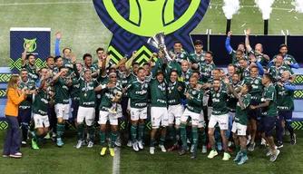 Palmeiras vs América-MG