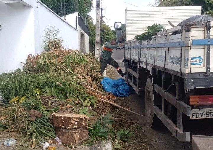 Poda de árvores e recolhimento de resíduos em Teresina.