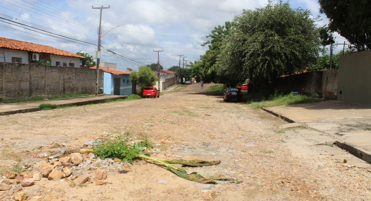 Moradores plantam bananeira no meio da rua