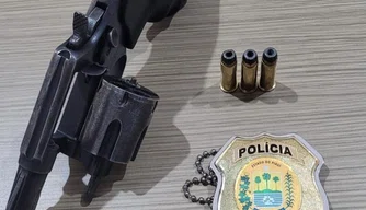 Apreensão realizada pela Polícia Civil em Pedro II.