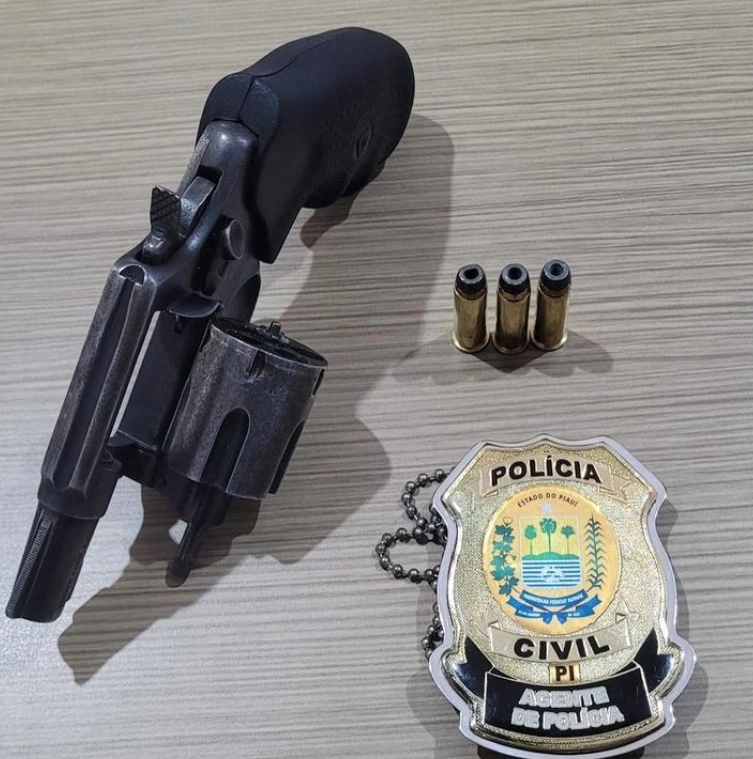 Apreensão realizada pela Polícia Civil em Pedro II.