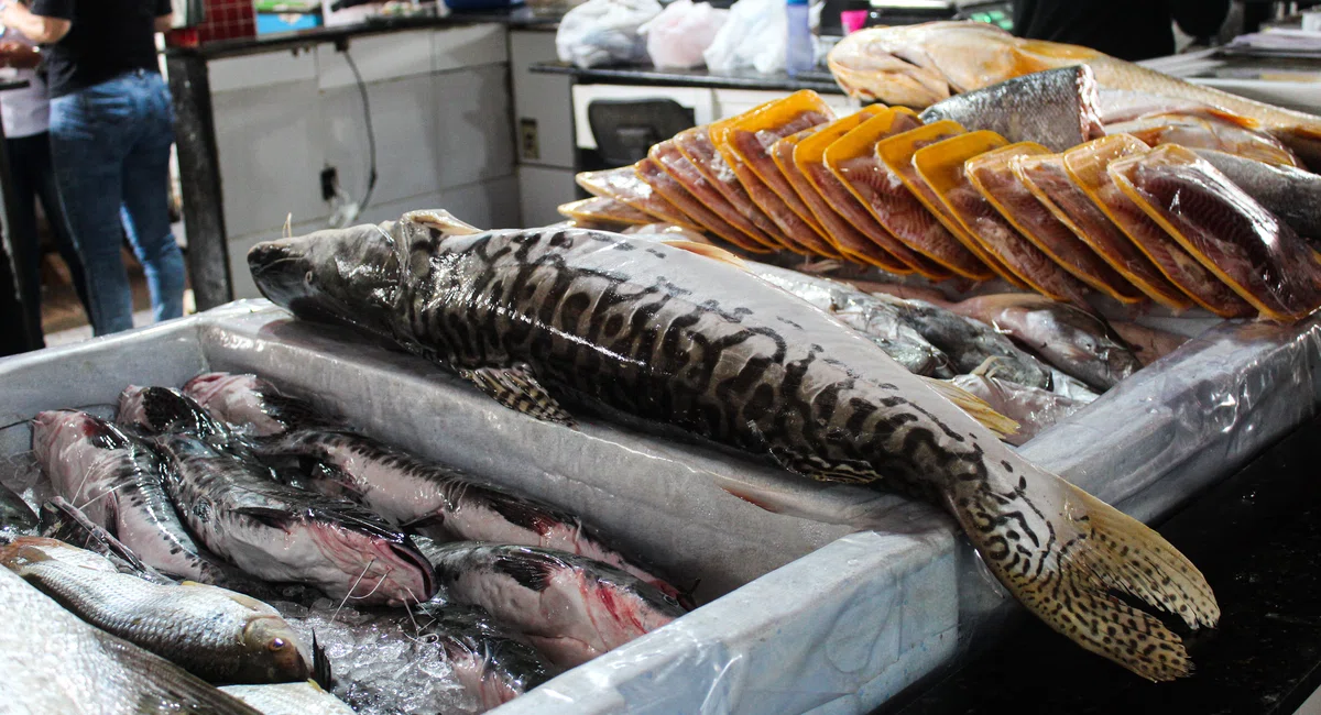 Início da Quaresma no Mercada do Peixe em Teresina