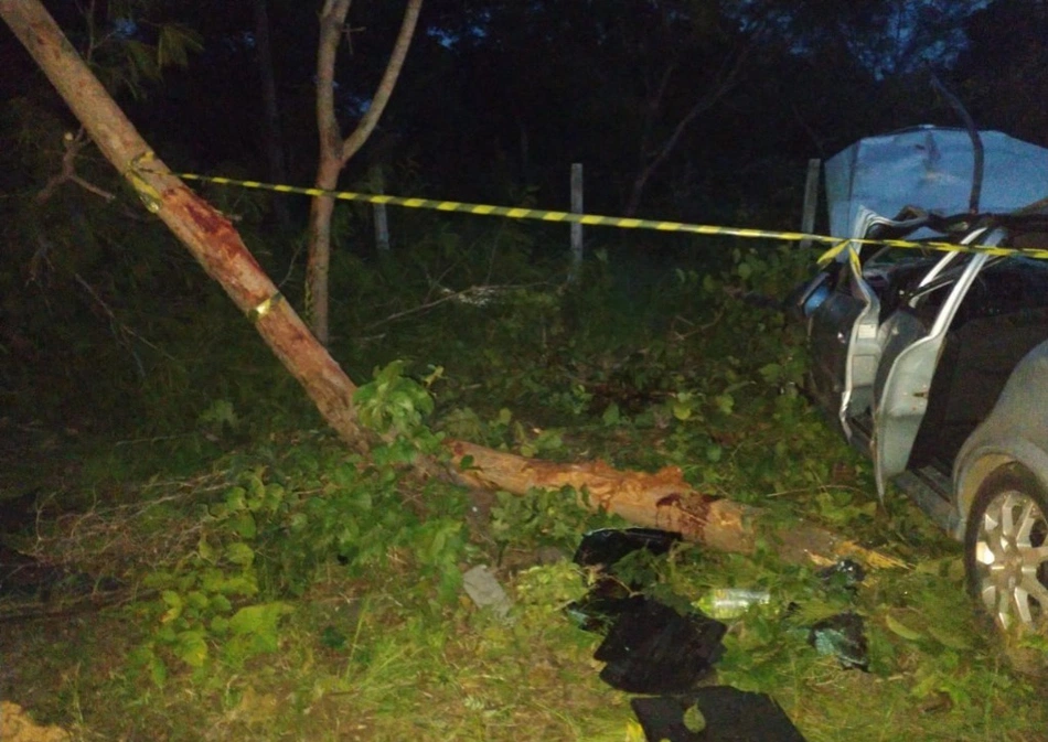 Idoso morre após colidir carro em árvore na BR-343 em Floriano.