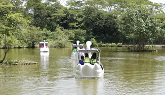 Passeio de pedalinho.