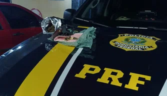 Foragido é preso com arma de fogo em Teresina.