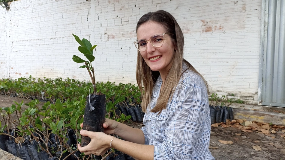 Distribuição de mudas de caju a agricultores em Cocal.