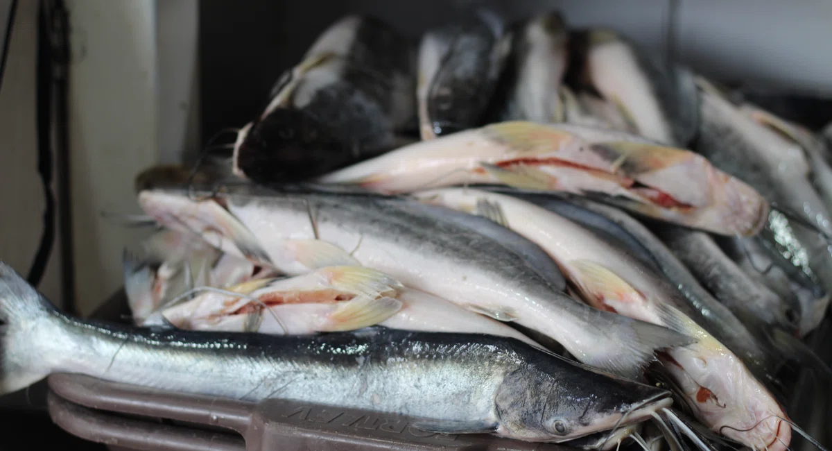 Vendas no Mercado do Peixe na Semana Santa