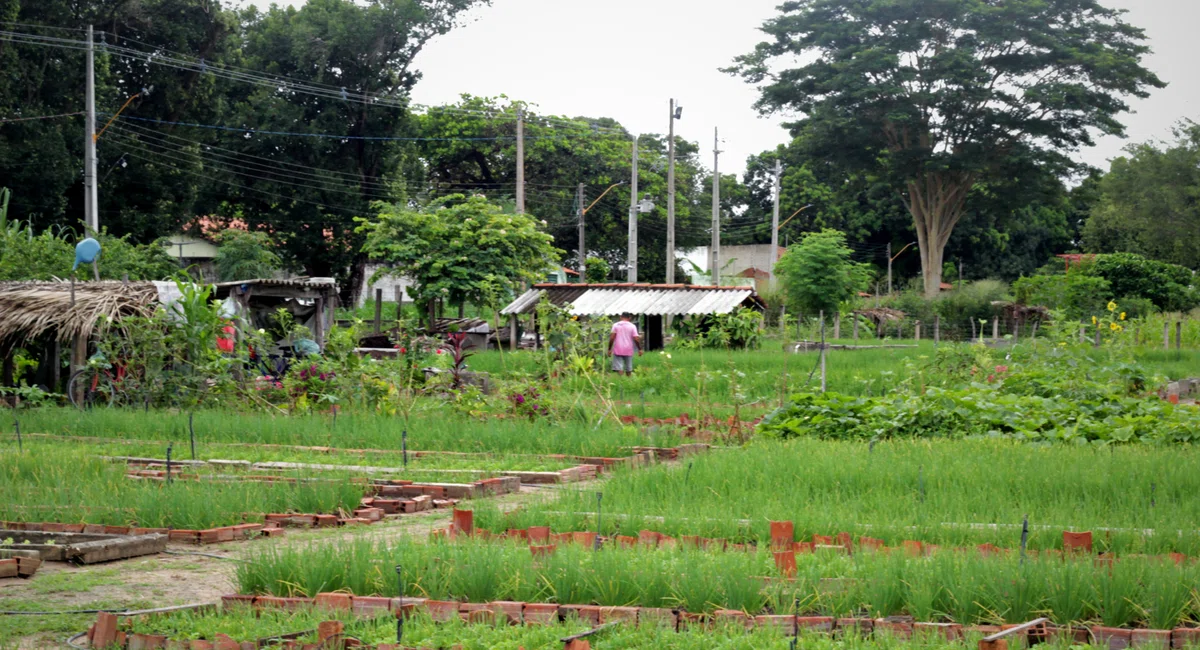 Horta do Dirceu