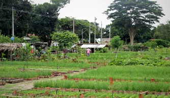 Horta do Dirceu