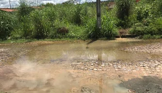 Buracos na via e aglomeração de mato