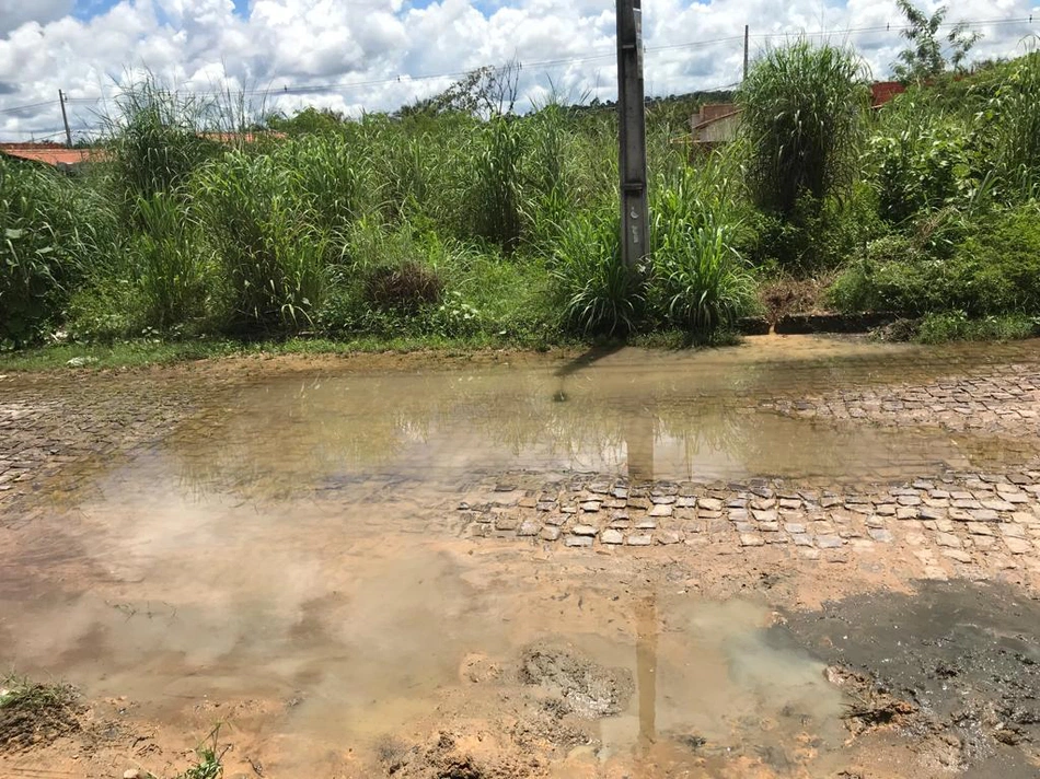 Buracos na via e aglomeração de mato