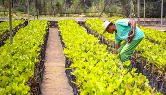 Fórum vai reunir secretários e gestores da agricultura familiar do Nordeste em Teresina