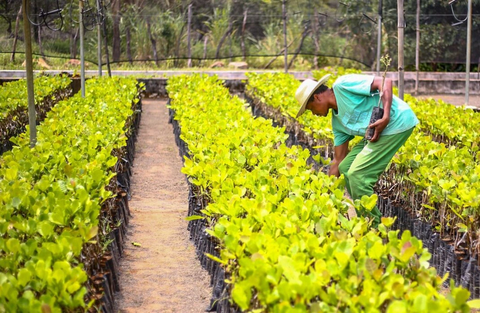 Fórum vai reunir secretários e gestores da agricultura familiar do Nordeste em Teresina