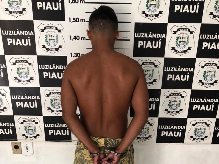 Polícia Civil prende homem por furto e receptação em Luzilândia