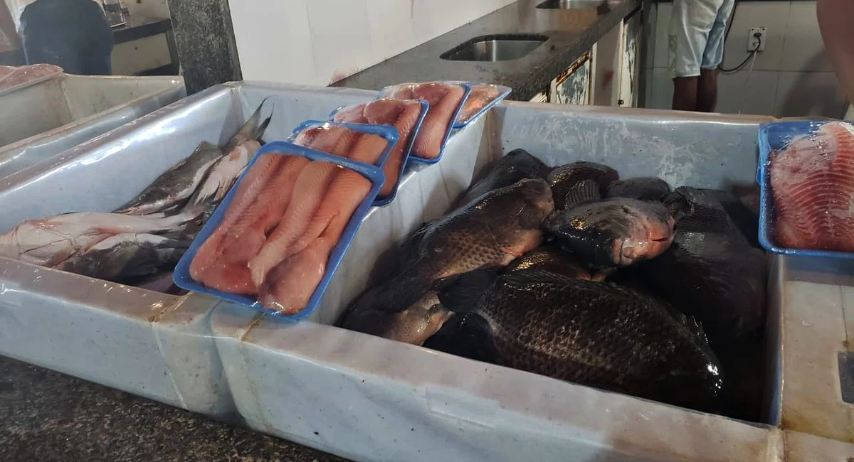 Venda de pescado sofre queda no Mercado do Peixe em Teresina