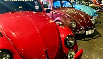 Exposição de Carros Antigos