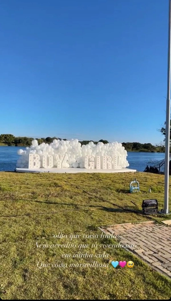 Decoração do chá revelação