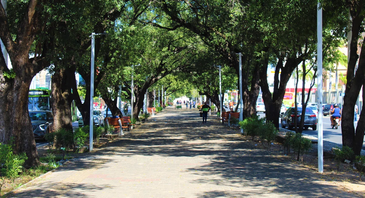 Avenida Frei Serafim