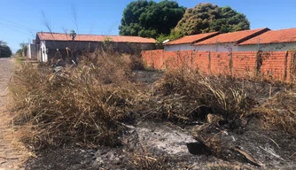 Terreno queimado em Teresina