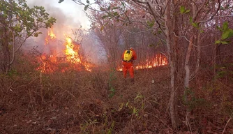 Incêndio florestal em Canto do Buriti