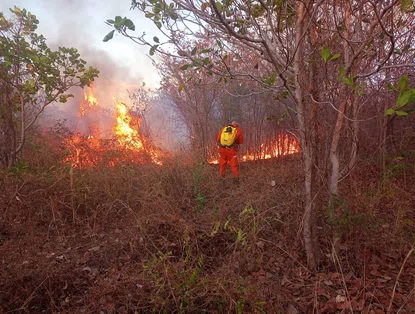 Incêndio de grandes proporções em Canto do Buriti é controlado